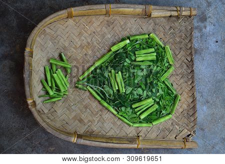 Moringo Tree Leaves And Drumsticks Fruits Of This Plants