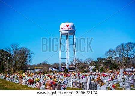 An Entrance Road Going To Abbeville, Louisiana