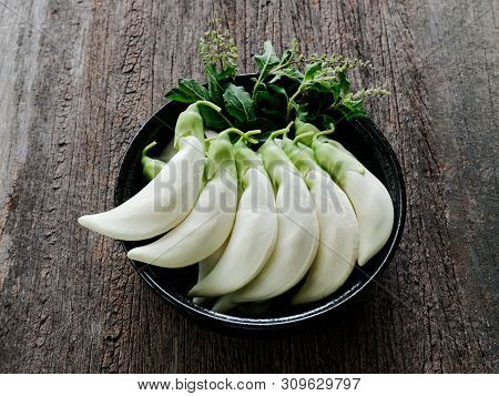 Agasta,sesban, Vegetable Humming Bird,