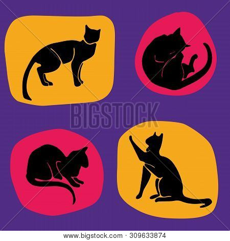 Hand Drawn Vector Cat Silhouette Pattern In Trndy Colors.