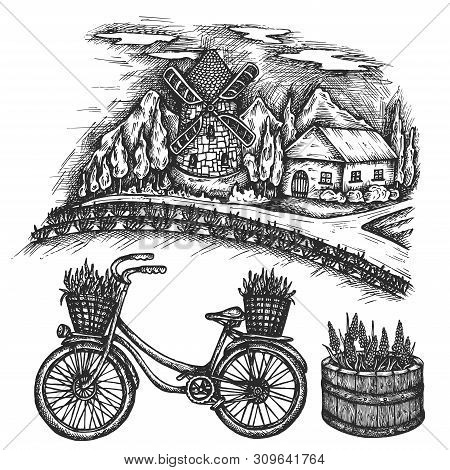 Lavender Field Summer Landscape. Provence, France Bicycle Hand Drawn Vector Sketch, Ink Illustration