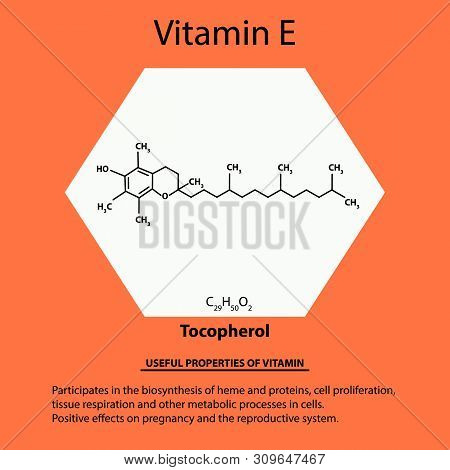 Vitamin E. Tocopherol Molecular Chemical Formula. Useful Properties Of Vitamin. Infographics. Illust