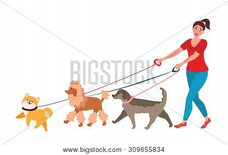 The Girl Walks A Few Dogs. Professional Dog Walker. Vector Illustrations Unusual Professions