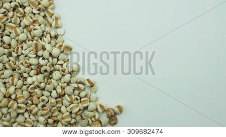 Job's Tears, Also Known As Adlay And Coix On White Background. Popular In Asian Cultures As A Food S