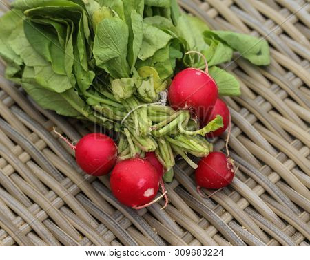 Bush Of Radish On Wooden Table Background