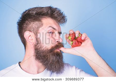 Hipster Bearded Holds Strawberries Fist As Juice Bottle. Man Drinks Strawberry Juice Suck Thumb As D