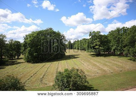 Field With Mown Grass In The Forest, Park. A View Of A Farming Field With A Freshly Mown Grass Now L
