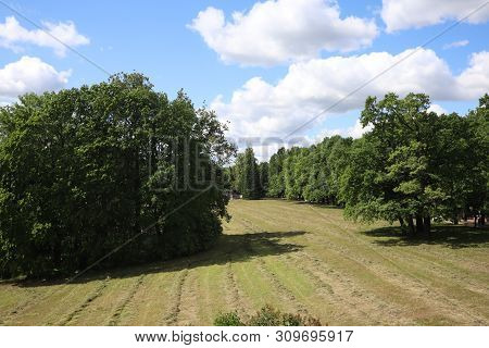 Field With Mown Grass In The Forest, Park. A View Of A Farming Field With A Freshly Mown Grass Now L