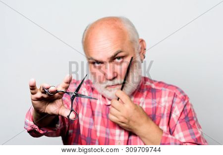 Close Up Of Man Shaving. Shaving Scissors Tool Kit. Cut And Brush Hair. Mature Bearded Man Isolated 