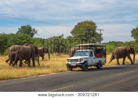 Kasane, Botswana - April 8, 2019 : Herd Of Elephants Crossing The Road Around A Safari Car With Tour