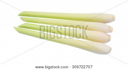 Fresh Green Lemongrass Isolated On White Background