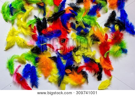Multi Colored And Colorful Feather Background.background From Feathers Of  Birds. Bright Colored Fea