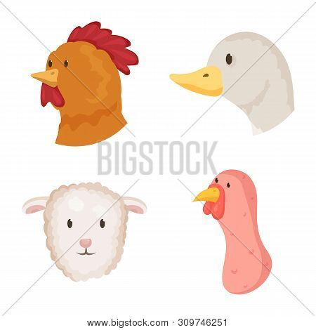 Vector Design Of Farm And Head Symbol. Set Of Farm And Homemade Vector Icon For Stock.