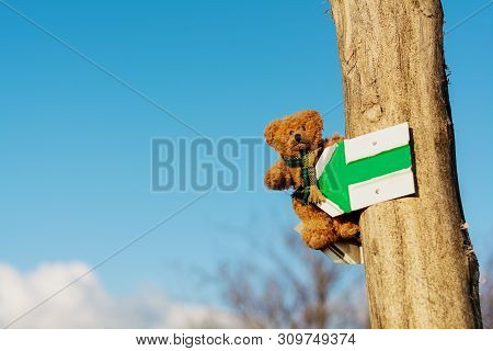 Plush Teddy Bear On A Pointer With A Green Arrow With A Blue Sky In The Background.