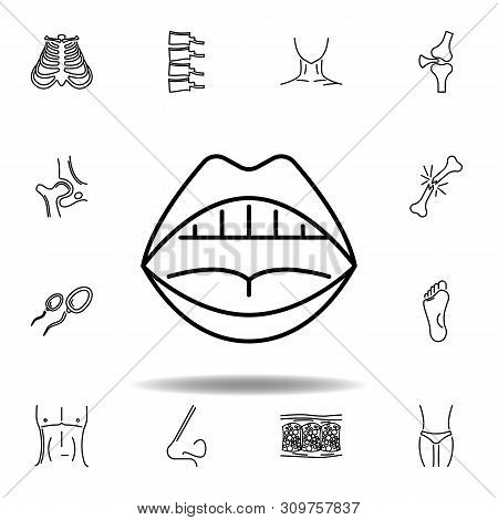 Set Of Human Organs Mouth Open Outline Icon. Signs And Symbols Can Be Used For Web, Logo, Mobile App
