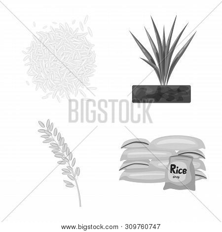 Vector Design Of Food And Organic Icon. Set Of Food And Agricultural Vector Icon For Stock.