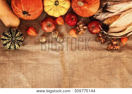 Harvest. Pumpkins, Apples, Corn Cobs And Nuts With Orange Flowers On A Jute Bag. Top View. Copy Spac