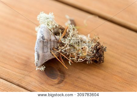 nature, inedible mushrooms and environment concept - hydnellum fungus on wooden background