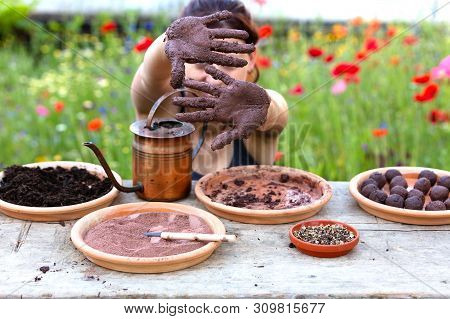 Woman Is Manufacturing Seed Balls Or Seed Bombs On A Wooden Table, Flower Field In The Background