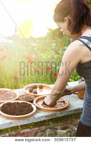Woman Is Manufacturing Seed Balls Or Seed Bombs On A Wooden Table, Flower Field In The Background
