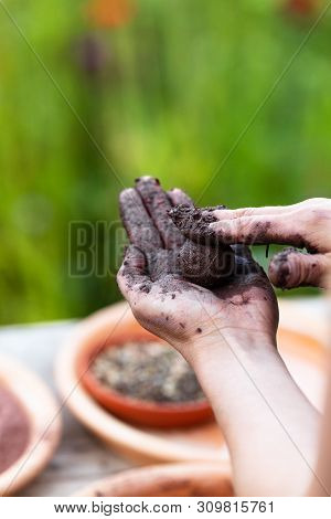 Woman Is Manufacturing Seed Balls Or Seed Bombs On A Wooden Table, Flower Field In The Background