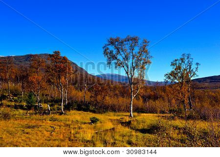 Hermoso día de otoño