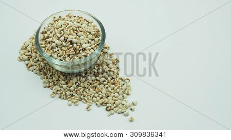 Job's Tears, Also Known As Adlay And Coix On White Background. Popular In Asian Cultures As A Food S
