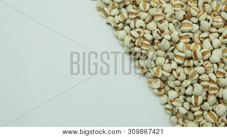 Job's Tears, Also Known As Adlay And Coix On White Background. Popular In Asian Cultures As A Food S