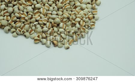 Job's Tears, Also Known As Adlay And Coix On White Background. Popular In Asian Cultures As A Food S