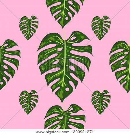 Tropical Pattern. Seamless Texture With Bright Hand Drawn Leaves Of Monstera.