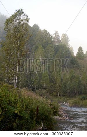 Early Morning On A Mountain River Yarovka In Western Siberia. Altai Territory. Russia