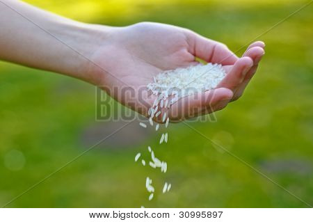 쌀을 팔 러 손