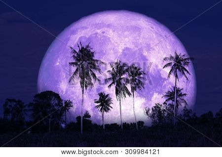 Super Sturgeon Moon On The Night Sky Back Silhouette Coconut Trees