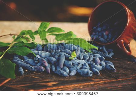 Blue Honeysuckle Berries On A Dark Board Next To A Brown Clay Cup