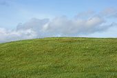 Green Grass Hill