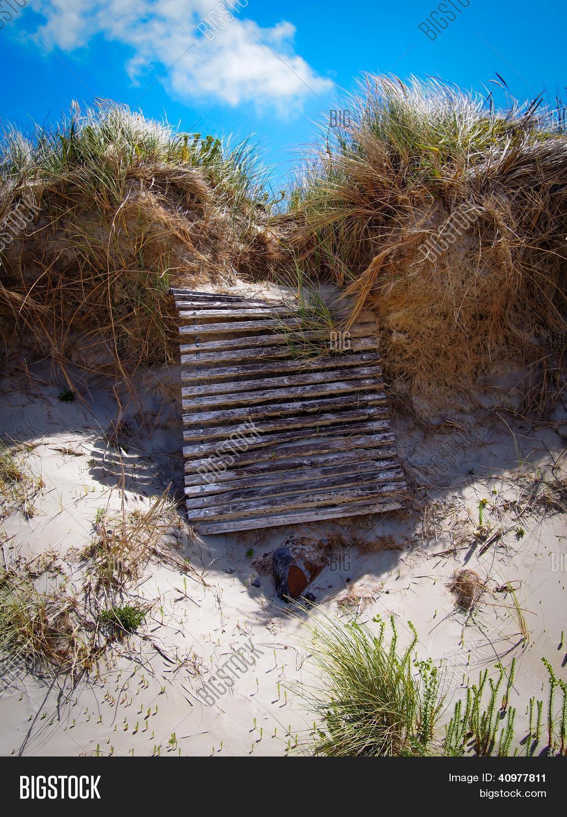 Collapsed Timber Image & Photo (Free Trial) | Bigstock
