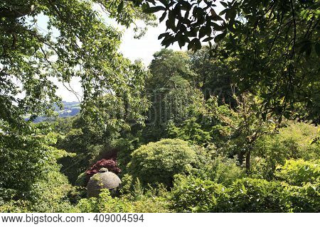 Saltash (england), Uk - August 21, 2015: Cotehele Park, Near Saltash,  Cornwall, England, United Kin