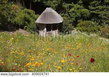 Saltash (england), Uk - August 21, 2015: Cotehele Park, Near Saltash,  Cornwall, England, United Kin