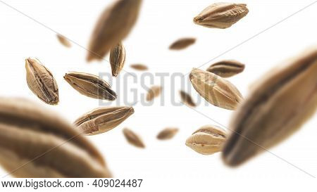 Barley Malt Grains Levitate On A White Background