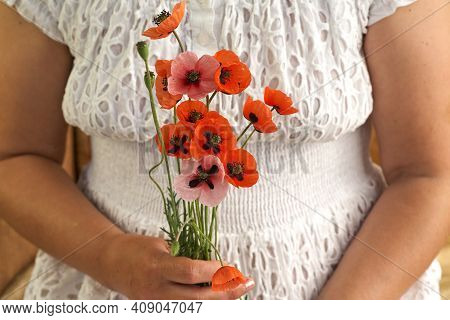Woman In White Dress Holding Poppe Flowers, Close Up On Her Hands. Spring Time Dreams.