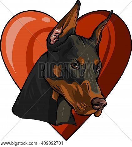 Head Of Dobermann With Heart Vector Illustration
