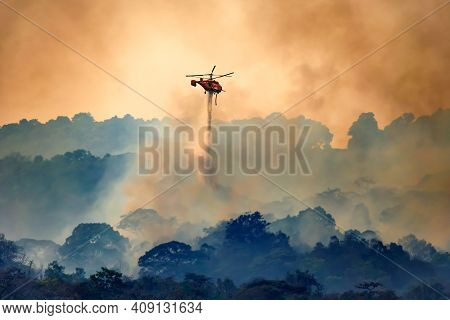 Firefithing Helicopter Dropping Water On Forest Fire