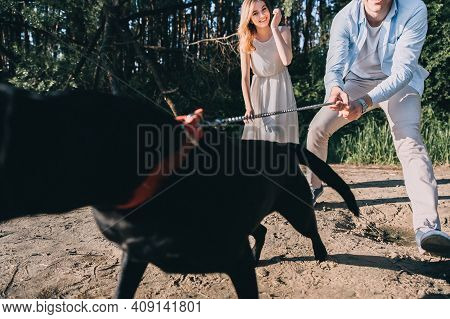 Lovely Couple Is Walking With A Black Labrodor On A Leash. Lovers Smile And Watch The Dog. A Walk In