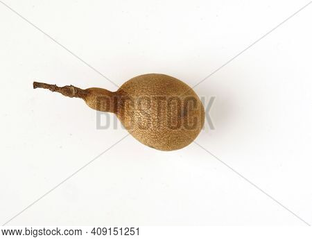 Tamarind Tree Produces Brown, Pod-like Fruits That Contain A Sweet, Tangy Pulp