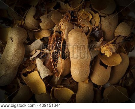 Tamarind Tree Produces Brown, Pod-like Fruits That Contain A Sweet, Tangy Pulp