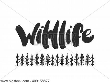 Vector Illustration: Handwritten Furry Brush Lettering Of Wildlife With Hand Drawn Pine Forest.