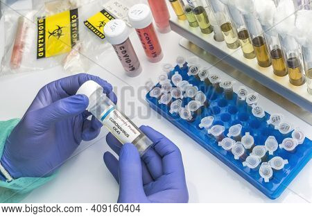 Scientist Holds Vial With Sample Of Coronavirus Oc43 In A Specialized Laboratory, Conceptual Image