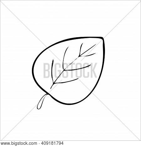 Leaf Spinach Tree Vector Art Illustration Icon