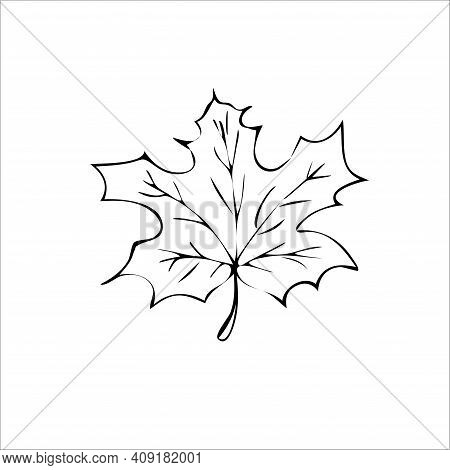Leaf Maple Tree Vector Art Illustration Icon