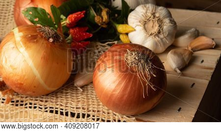 Spices, Rustic Arrangement Showing Beautiful Details And Colors Of Spices On Rustic Wood And Rustic